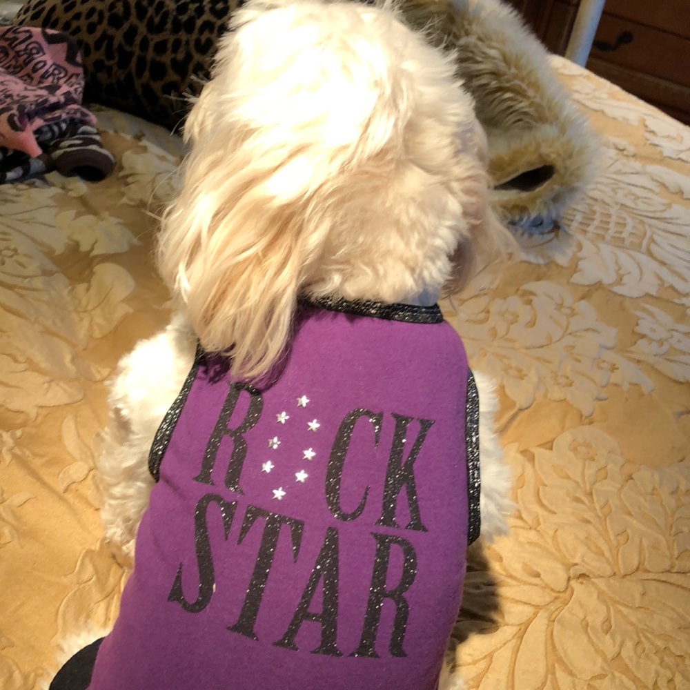 Boutique Doggie Dress/Shirt